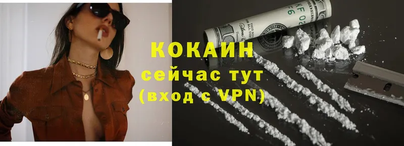 Cocaine Fish Scale  Павловский Посад 